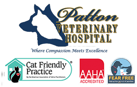 Veterinarian in Red Lion, PA | Patton Veterinary Hospital