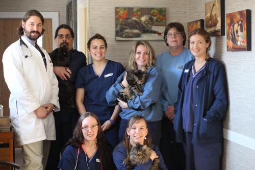 Veterinarian in city and state seeing a dog in her office