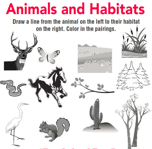 animals and habitats