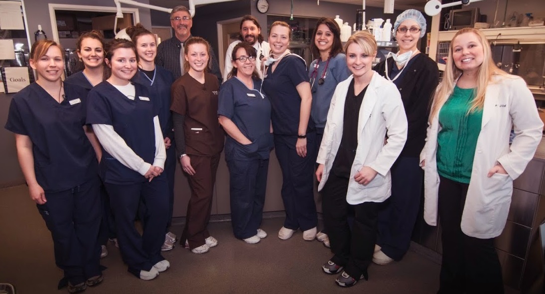 Veterinarian in city and state seeing a dog in her office